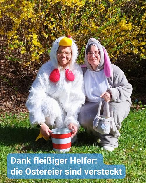 Augenblickliche Sicht auf zwei Erwachsene, die in österlichen Kostümen gekleidet sind.   Die eine Person trägt ein flauschiges, weißes Hühnerkostüm, ergänzt durch einen Schnabel und einen Kehlsack. Der andere ist in ein graues Hasenkostüm gehüllt, das mit langen Ohren ausgestattet ist. Beide kauern in der Nähe eines kleinen rot-weiß gestreiften Eimers.   Sie befinden sich vor einem leuchtend gelben Forsythienstrauch, der in voller Blüte steht. Der Hintergrund ist weitgehend verschwommen, um den Fokus auf die kostümierten Individuen zu lenken.   Eine Beschriftung am unteren Rand lautet: "Dank fleißiger Helfer: die Ostereier sind versteckt."